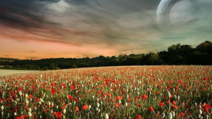 鱼缸的硝酸盐含量为多少比较合适？